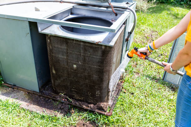 Best Air Duct Mold Removal  in Inesville, GA