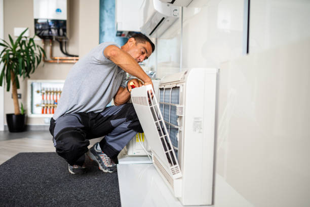 Best HVAC Air Duct Cleaning  in Inesville, GA