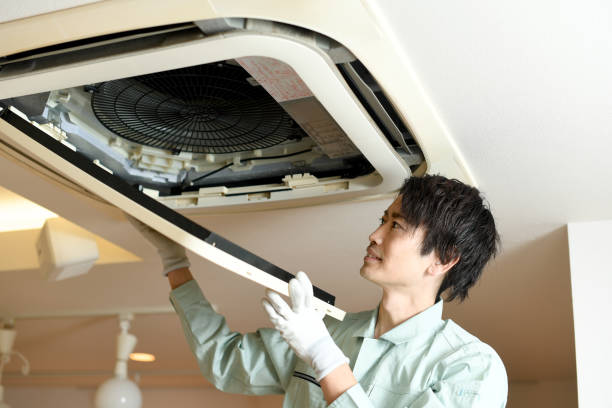 Best Air Duct Mold Removal  in Inesville, GA
