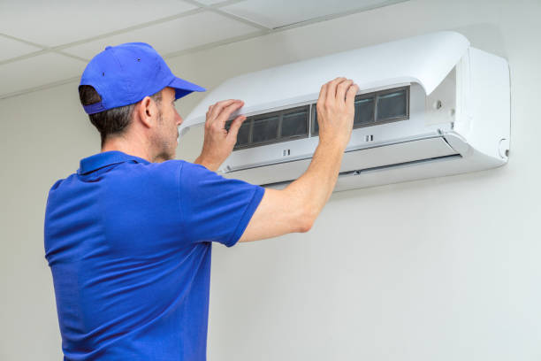 Best Dryer Vent Cleaning Services  in Inesville, GA
