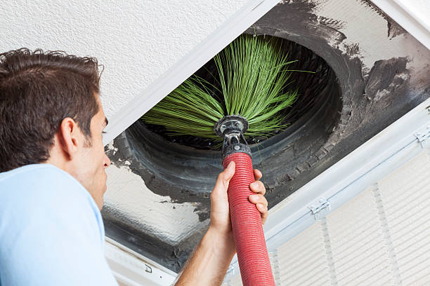 Best Air Duct Sanitizing Services  in Inesville, GA