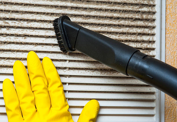 Best Home Air Vent Cleaning  in Inesville, GA