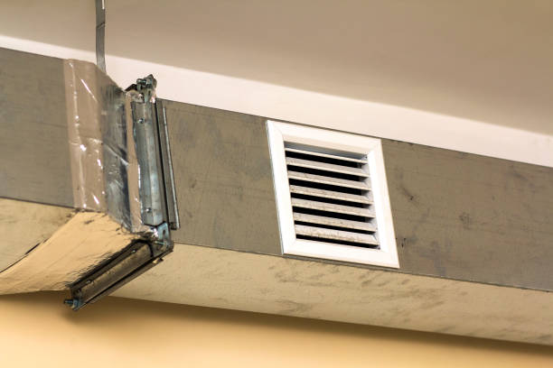 Best Ductwork Cleaning Services  in Inesville, GA