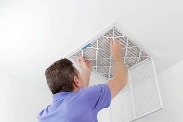 Best Emergency Air Duct Cleaning  in Inesville, GA